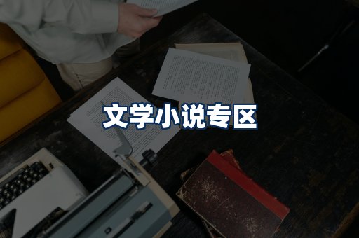 文学小说PDF展示